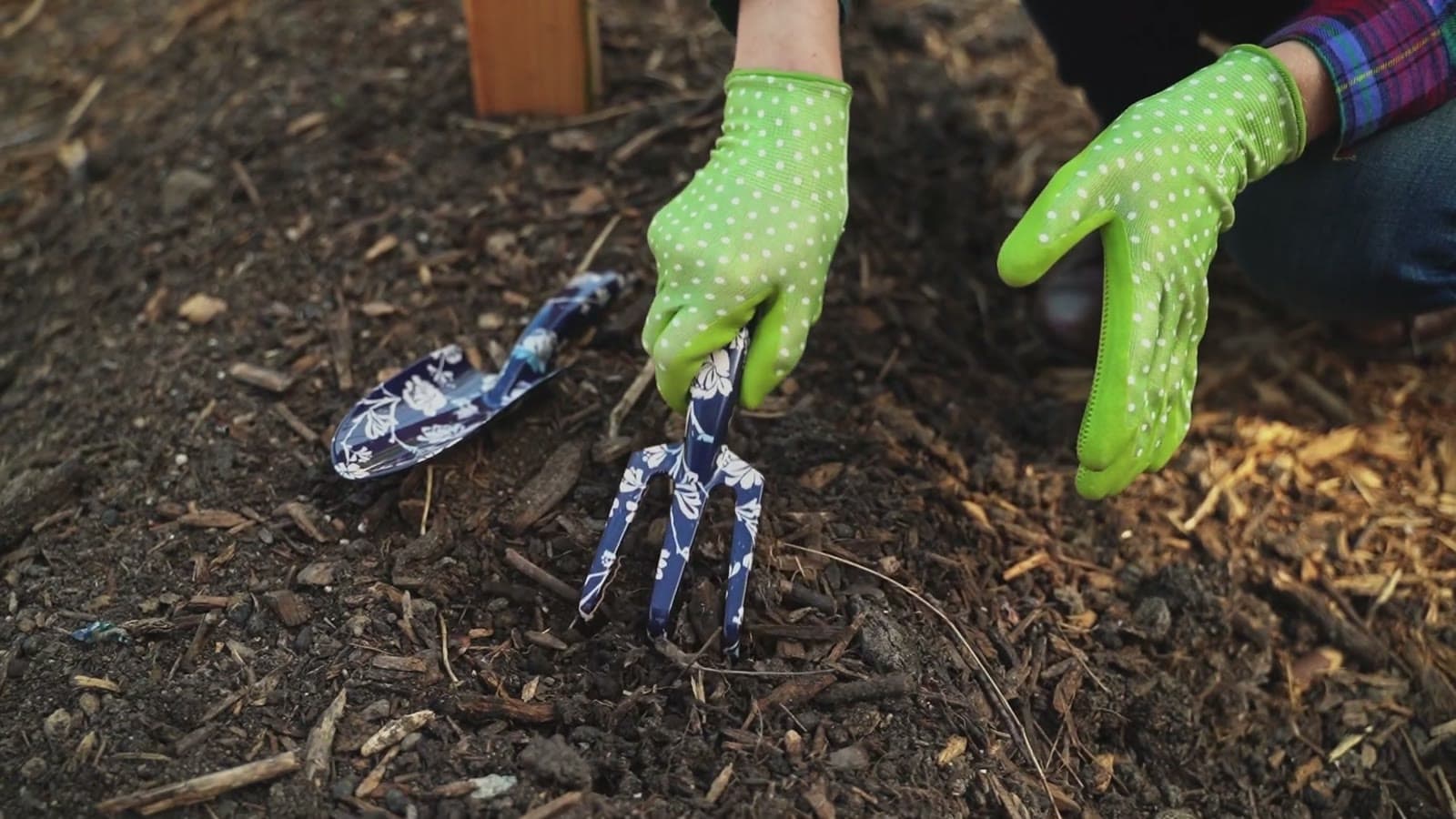 Gloved hands working a garden bed with a hand fork